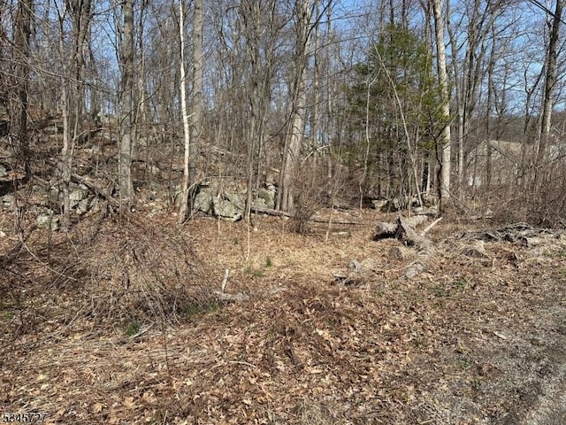 508 Retreat Dr, Vernon Twp, NJ 07422