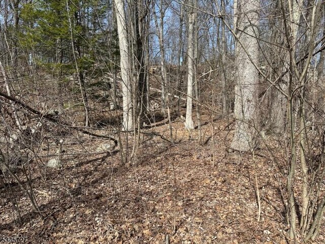 508 Retreat Dr, Vernon Twp, NJ 07422