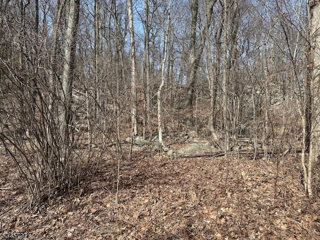 508 Retreat Dr, Vernon Twp, NJ 07422