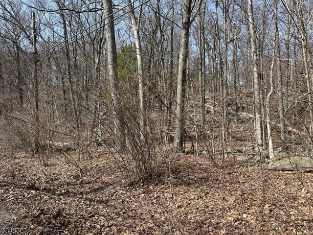 508 Retreat Dr, Vernon Twp, NJ 07422