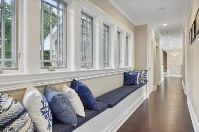 16 Laurel Mountain Way, Tewksbury Twp, NJ 07830 - hall featuring dark wood-type flooring, ornamental molding, baseboards, and recessed lighting