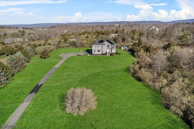 bird's eye view