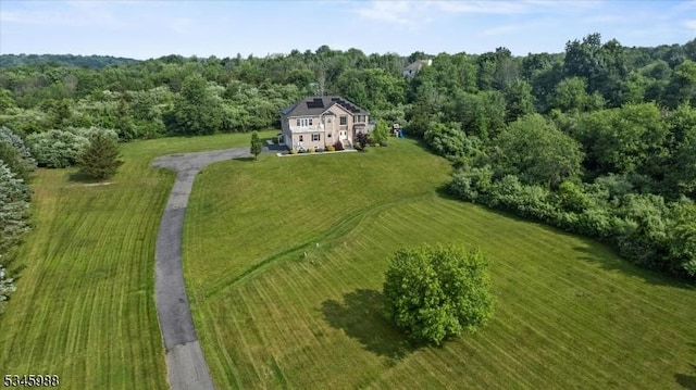 10 County Road 519, Hampton Twp, NJ 07860 - view of subject property featuring a forest