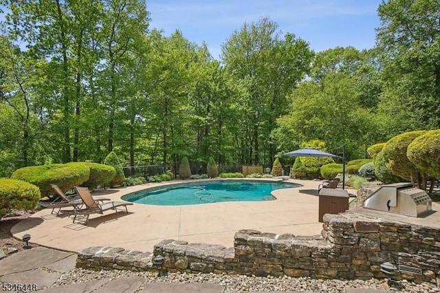 15 Wolfe Run Ct, Washington Twp, NJ 07853 - view of pool featuring a patio area, area for grilling, and a diving board