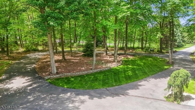 15 Wolfe Run Ct, Washington Twp, NJ 07853 - view of home's community