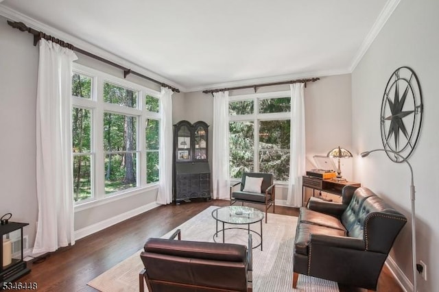15 Wolfe Run Ct, Washington Twp, NJ 07853 - living area featuring ornamental molding, wood finished floors, and baseboards