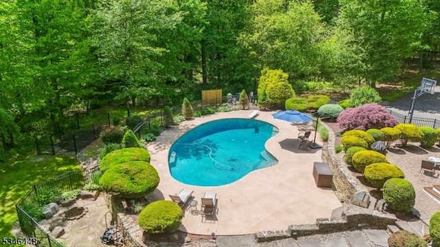 15 Wolfe Run Ct, Washington Twp, NJ 07853 - view of swimming pool featuring a patio and view of scattered trees