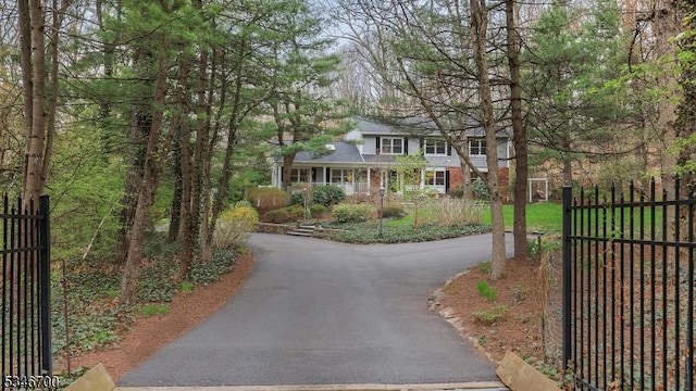 view of street with a gated entry and aphalt driveway