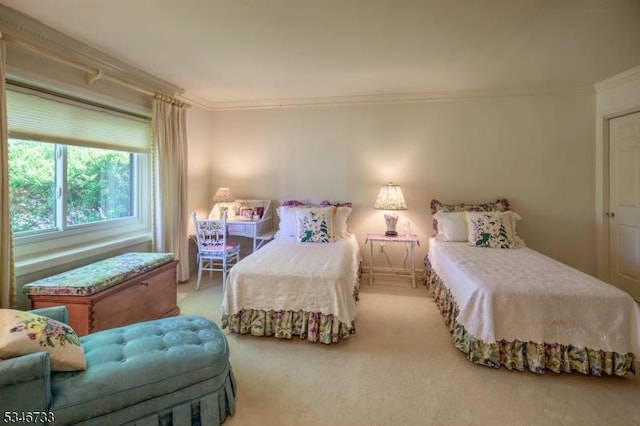 carpeted bedroom featuring crown molding