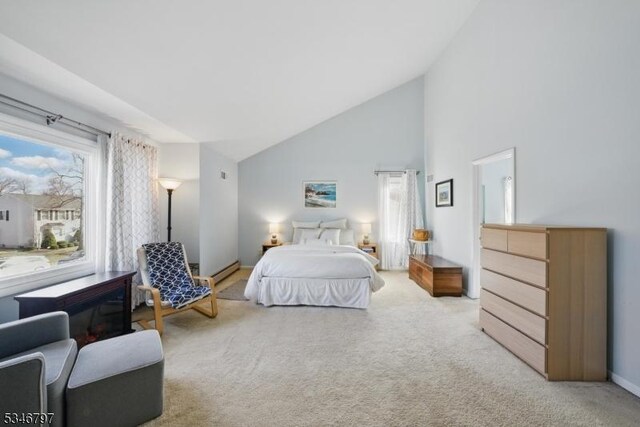 100 Toner Rd, Boonton Town, NJ 07005 - bedroom featuring baseboards, high vaulted ceiling, and carpet flooring