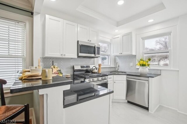 kitchen featuring stainless steel appliances, dark countertops, a raised ceiling, white cabinetry, and a sink
