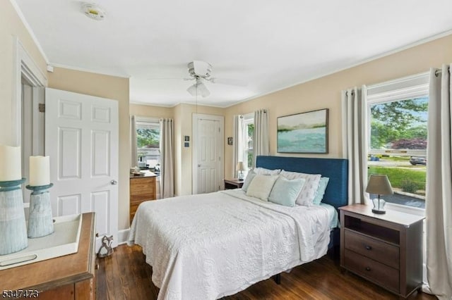 577-9 Greenbrook Rd, North Plainfield Boro, NJ 07063 - bedroom featuring dark wood-style floors and ceiling fan