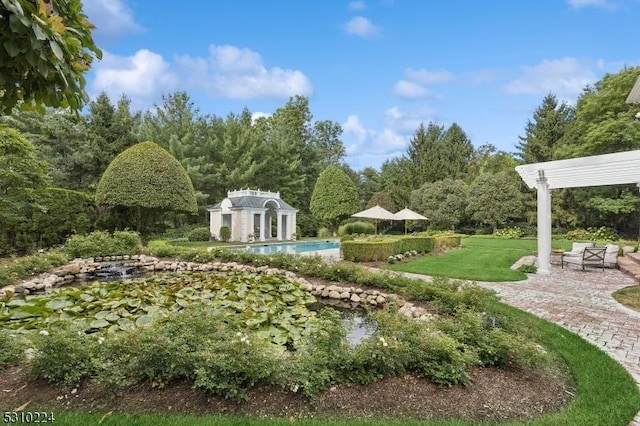 view of yard with a patio area and an outdoor pool