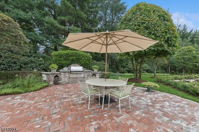 view of patio / terrace featuring outdoor dining space and area for grilling