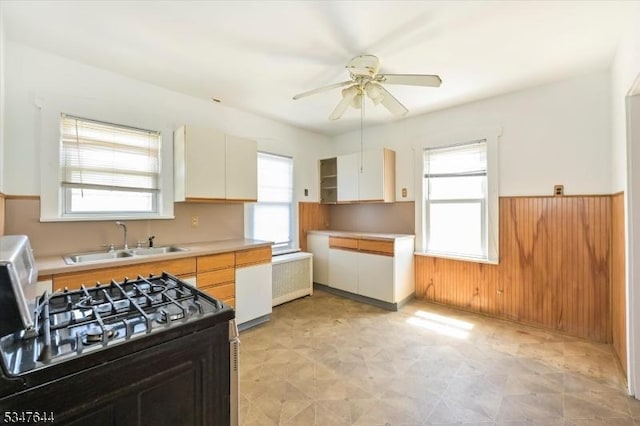 kitchen featuring a sink, black range with gas stovetop, plenty of natural light, a ceiling fan, and wainscoting