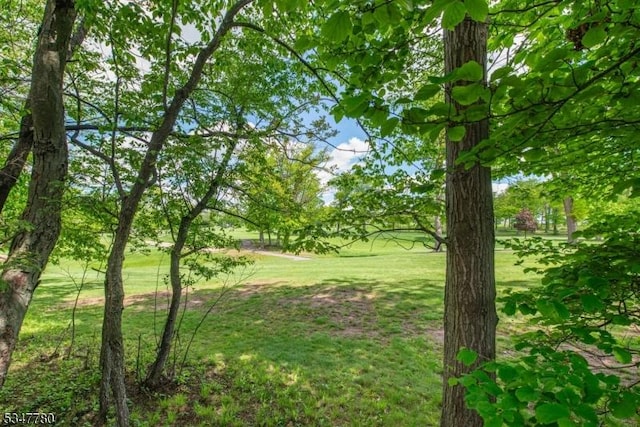 204 Barringer Ct, West Orange Twp, NJ 07052 - view of green lawn