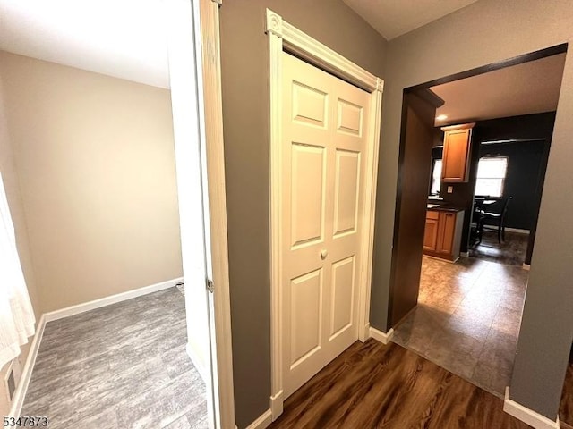 913 Renate Dr Unit 2, Hillsborough Twp, NJ 08844 - corridor featuring dark wood finished floors and baseboards