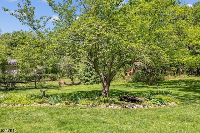 28 Academy St, Califon Boro, NJ 07830 - view of green lawn