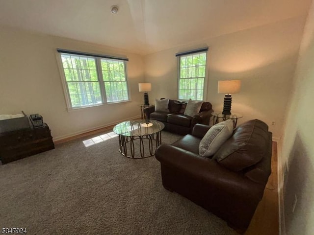 living room with baseboards, carpet flooring, and lofted ceiling