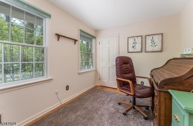 home office featuring baseboards, wood finished floors, and a wealth of natural light