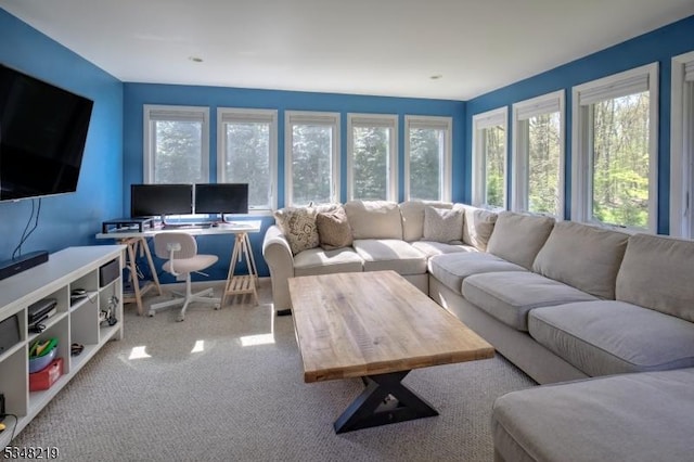 living room with a healthy amount of sunlight and carpet flooring