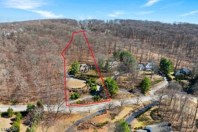 16 James Rd, Randolph Twp, NJ 07869 - aerial overview of property's location with property parcel outlined and a heavily wooded area