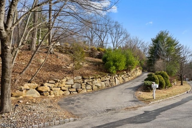 16 James Rd, Randolph Twp, NJ 07869 - view of asphalt street
