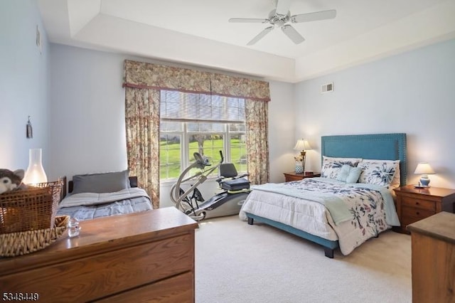 4 Hardenbergh St, Franklin Twp, NJ 08873 - bedroom with visible vents, ceiling fan, a raised ceiling, and light colored carpet