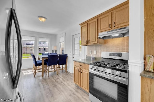 kitchen with tasteful backsplash, light wood-type flooring, under cabinet range hood, stainless steel appliances, and a wealth of natural light