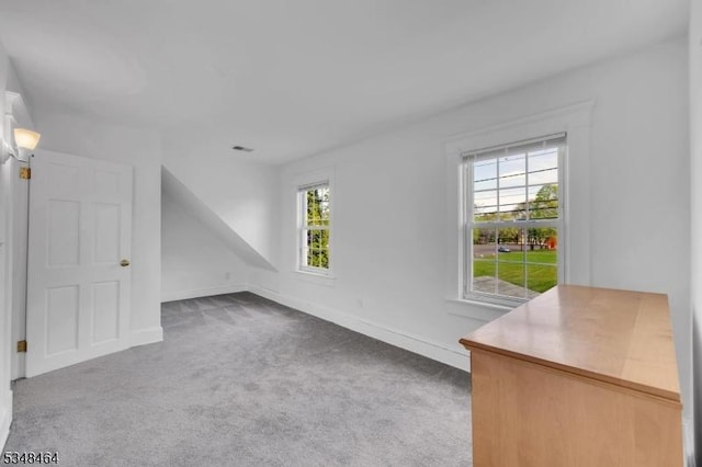 additional living space featuring baseboards and carpet