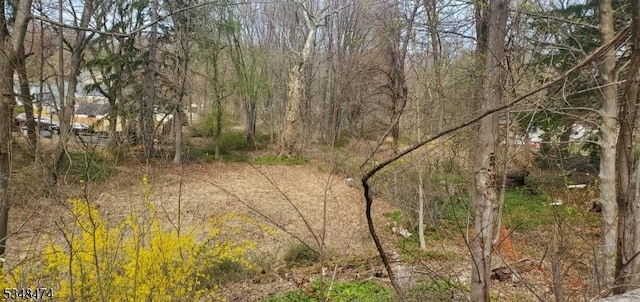 189 Sussex Ave, Morris Twp, NJ 07960