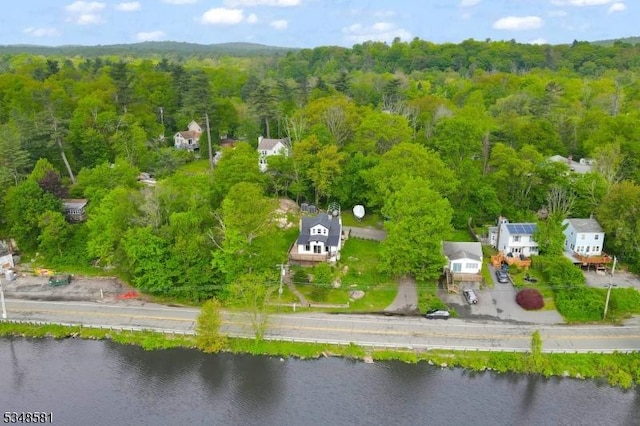 677 Warwick Tpke, West Milford Twp, NJ 07421 - aerial view of a forest and a nearby body of water