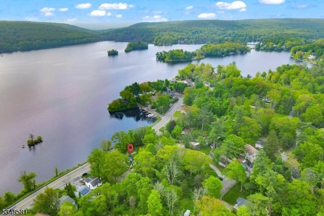 677 Warwick Tpke, West Milford Twp, NJ 07421 - drone / aerial view of a heavily wooded area and a nearby body of water