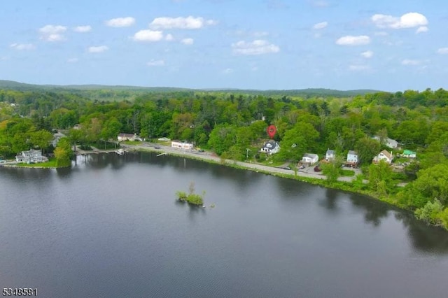 677 Warwick Tpke, West Milford Twp, NJ 07421 - view of property location featuring a forest and a large body of water