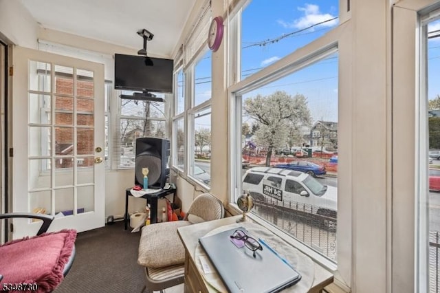 sunroom featuring carpet