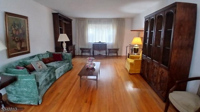 29 King Rd, Franklin Twp, NJ 08873 - living room featuring light wood-type flooring