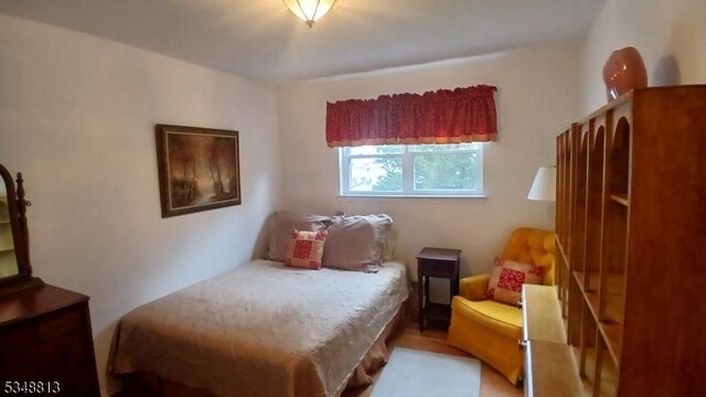 29 King Rd, Franklin Twp, NJ 08873 - view of bedroom