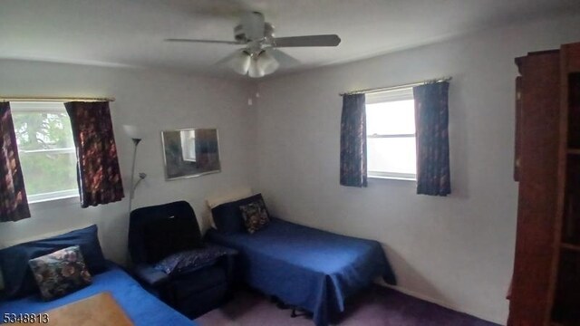 29 King Rd, Franklin Twp, NJ 08873 - bedroom with ceiling fan and multiple windows