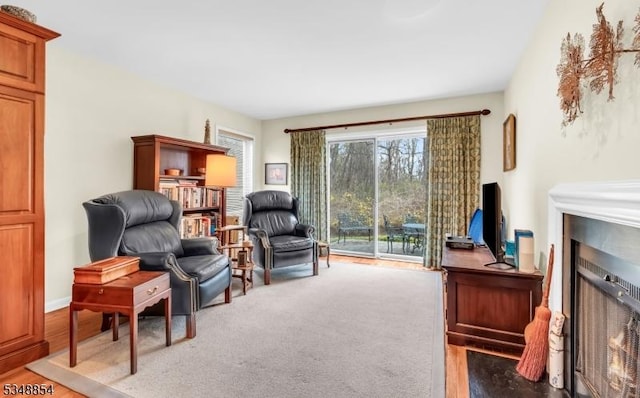 sitting room featuring light wood finished floors and a fireplace