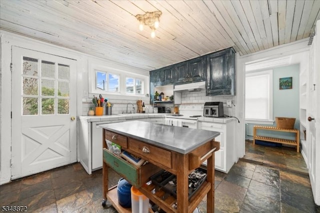 97 N Main St, Lambertville City, NJ 08530 - kitchen with a sink, stone tile flooring, wooden ceiling, and under cabinet range hood