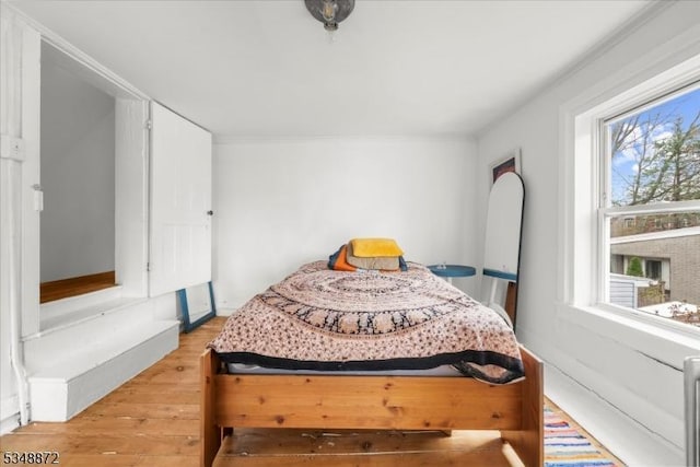 97 N Main St, Lambertville City, NJ 08530 - bedroom featuring light wood finished floors and multiple windows
