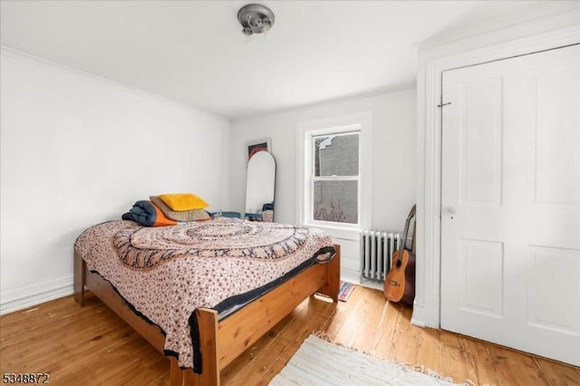 97 N Main St, Lambertville City, NJ 08530 - bedroom featuring radiator heating unit, light wood-type flooring, and baseboards