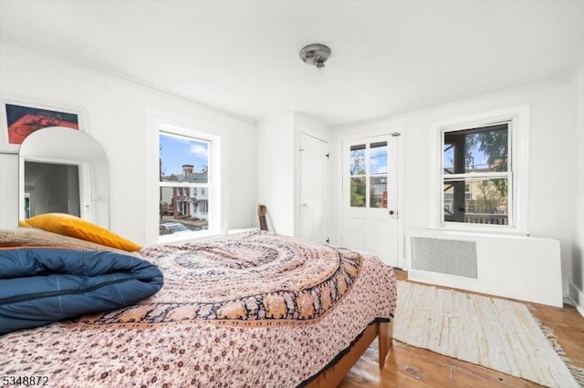 97 N Main St, Lambertville City, NJ 08530 - bedroom with crown molding, radiator, and wood finished floors