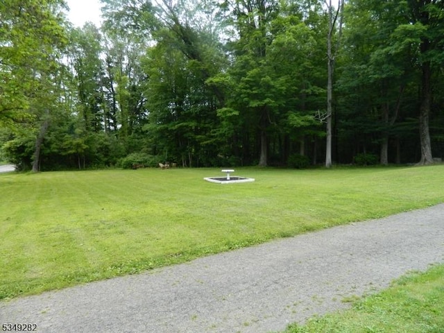 1668 County Rd 565, Vernon Twp, NJ 07461 - view of green lawn with a view of trees