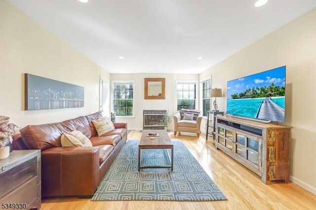living area featuring recessed lighting, baseboards, wood finished floors, and a fireplace