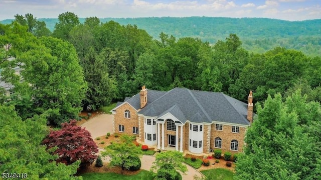 24 Glenview Dr, Warren Twp, NJ 07059 - view from above of property featuring a heavily wooded area