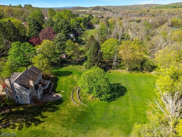 bird's eye view with a wooded view