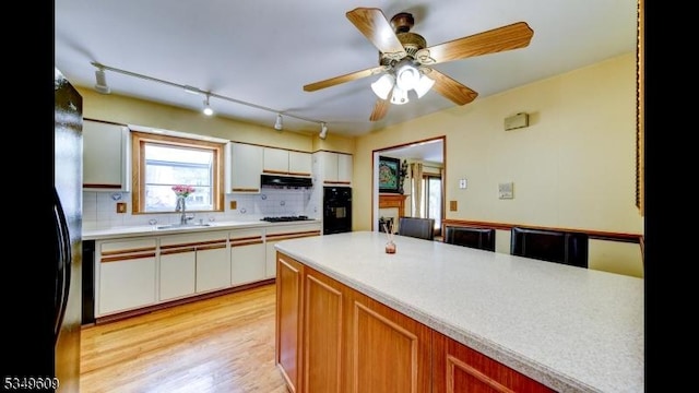 kitchen with decorative backsplash, light wood-type flooring, a sink, light countertops, and under cabinet range hood