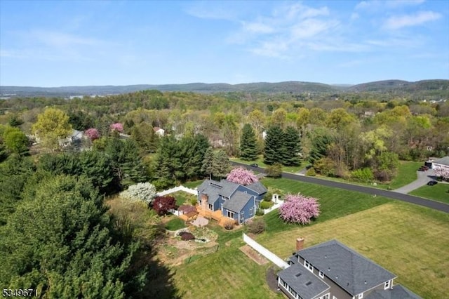 bird's eye view of a heavily wooded area