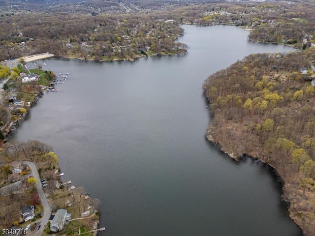 birds eye view of property featuring a forest view and a water view